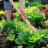 小雅在阳台说生活