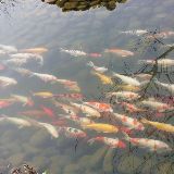 精彩影片大放送