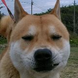 与兄弟那些搞笑事