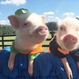 我要带你去浪迹天涯