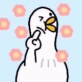 多多多指教你我他