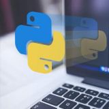 Python雁横
