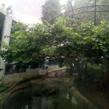 梁加米的小世界