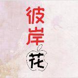 彼岸花诉说历史