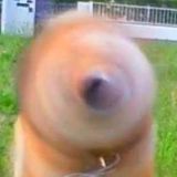 爱看搞笑