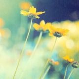 肖阳波生活大咖