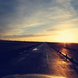 Dexter的行行摄摄