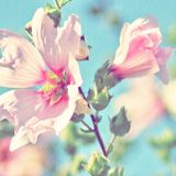 陶修永娱乐大咖