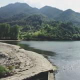 土豆不吃土