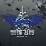 雷霆飞鹰