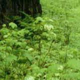 陈曼语生活小分队