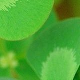 尤翔宇娱乐大咖