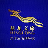 鼎龙文旅