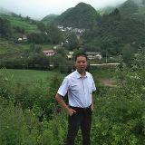 中国当归村新农哥