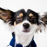 小俊聊谈娱乐事