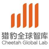 猎豹全球智库