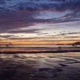 全球IT数码潮流