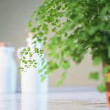 爱生活的小可爱