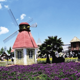 特色小镇俱乐部