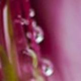 喻言文喜欢娱乐