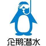 企鹅潜水