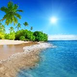 阿蔡的京沪观察与文创