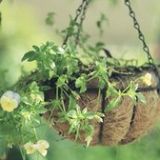 常富动感音乐库