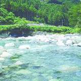 喜欢娱乐小扒姬