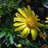 身体是革命的老本