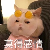 毛毛吃遍美食街