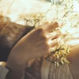 小张侃侃谈历史