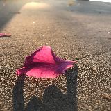 鱼胶胶情感书写吧