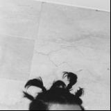 物是人非情感说