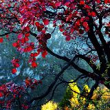 行者一直在路上