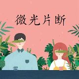 捡故事的猫夫人