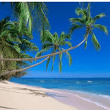 领略不一样的风景