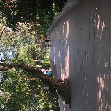 一米阳光的阳光