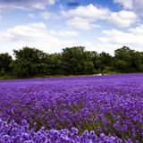 陈彦杉热爱生活