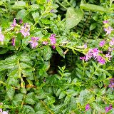 我要带你体验人生百味