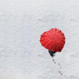 开眼百态观望
