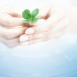 我的热心健康老师