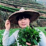 茶乡巧云