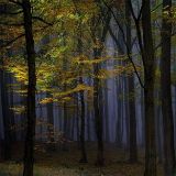 章小莱娱乐大咖