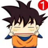 平顶山吉泰风行