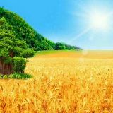 娄锦晶数字能量