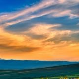 大虫子娱乐大咖