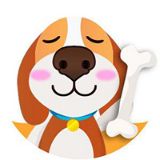 90后的萌宠小课堂