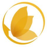 郑州在行动社工