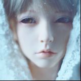 猫叔的美满生活