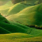 热门视频剪辑工